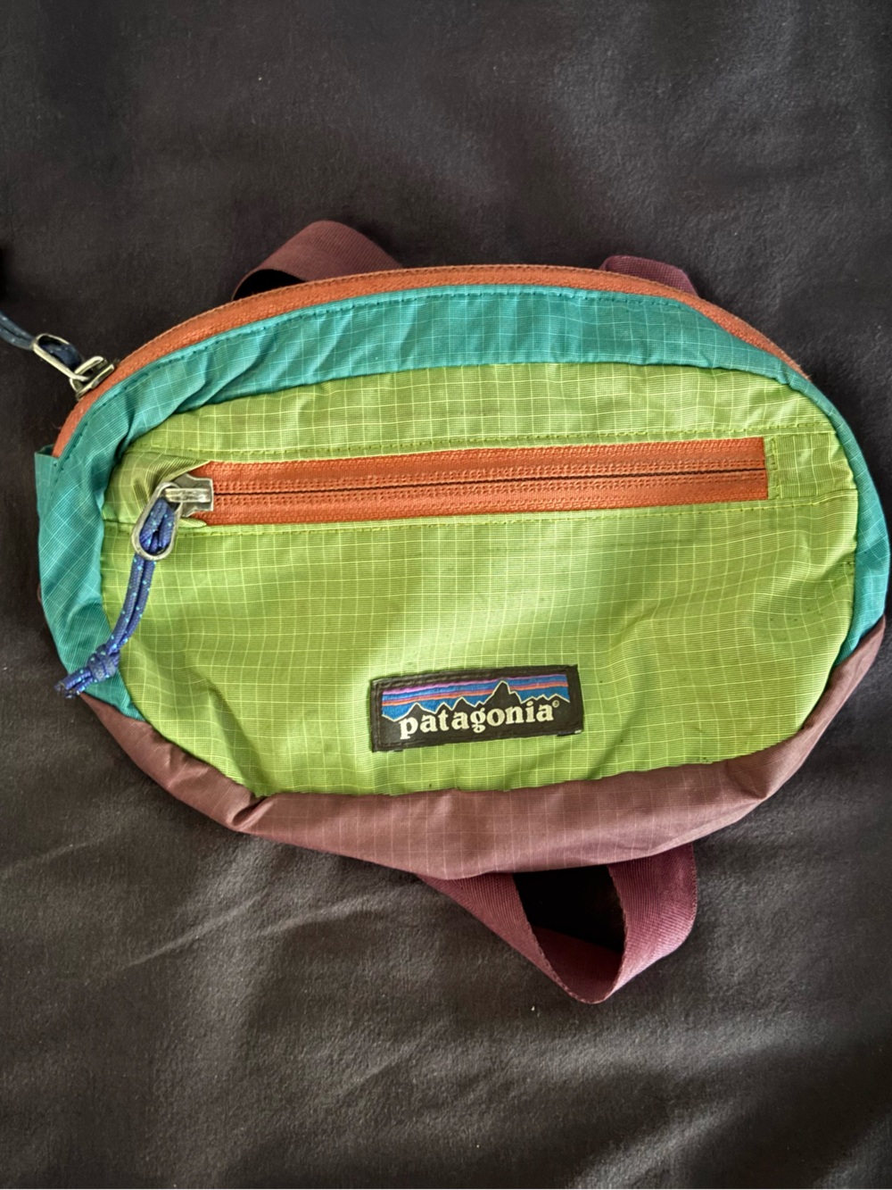 Patagonia Terravia Mini Hip Pack